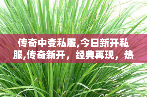 传奇中变私服,今日新开私服,传奇新开，经典再现，热血重燃的传奇之旅