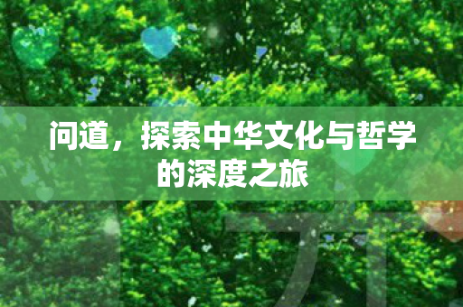 问道，探索中华文化与哲学的深度之旅