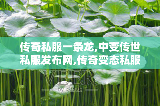 传奇私服一条龙,中变传世私服发布网,传奇变态私服，深度解析、玩法攻略与独特魅力