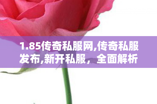 1.85传奇私服网,传奇私服发布,新开私服，全面解析、详细介绍与SEO优化攻略