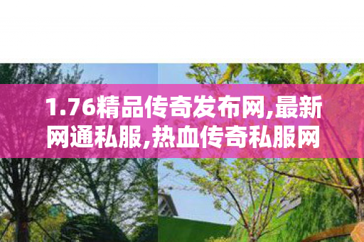 1.76精品传奇发布网,最新网通私服,热血传奇私服网，游戏体验与11分析