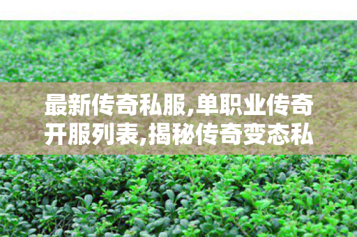 最新传奇私服,单职业传奇开服列表,揭秘传奇变态私服，深度解析与全面指南