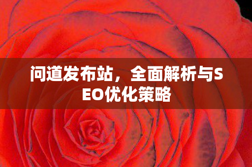 问道发布站，全面解析与SEO优化策略