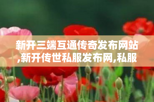 新开三端互通传奇发布网站,新开传世私服发布网,私服传奇，经典游戏的重燃与玩家情怀的延续