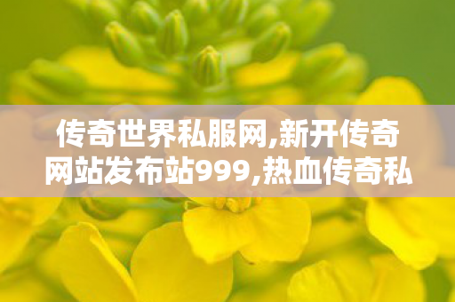 传奇世界私服网,新开传奇网站发布站999,热血传奇私服，经典游戏的重生与魅力