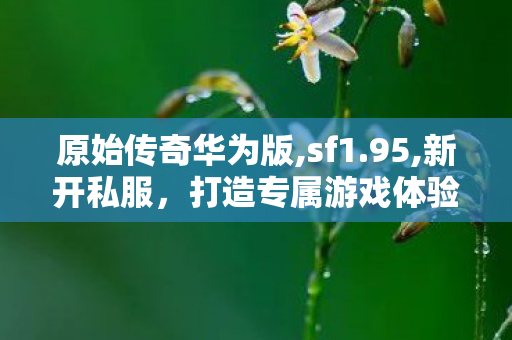 原始传奇华为版,sf1.95,新开私服，打造专属游戏体验的全新选择