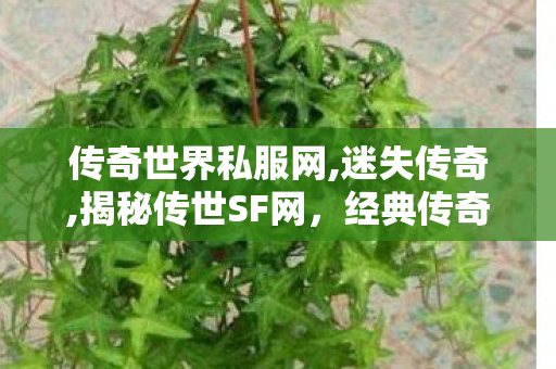 传奇世界私服网,迷失传奇,揭秘传世SF网，经典传奇游戏体验的深度解析