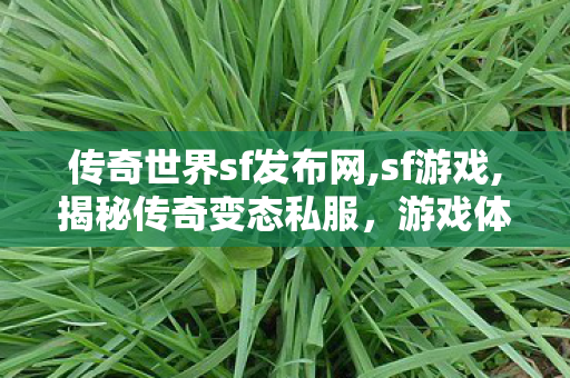 传奇世界sf发布网,sf游戏,揭秘传奇变态私服，游戏体验、安全1与玩家须知