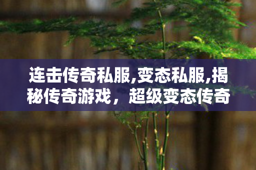 连击传奇私服,变态私服,揭秘传奇游戏，超级变态传奇的魅力与玩法