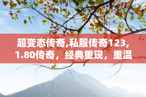 超变态传奇,私服传奇123,1.80传奇，经典重现，重温热血传奇之旅