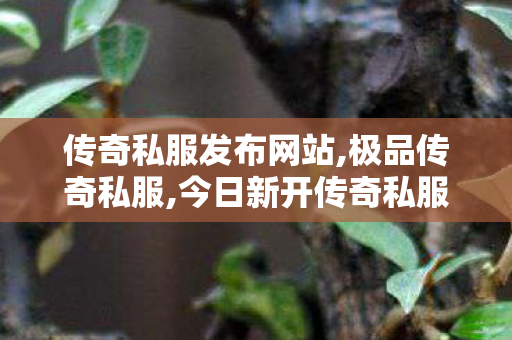 传奇私服发布网站,极品传奇私服,今日新开传奇私服，经典重现，热血传奇再启