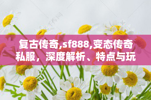 复古传奇,sf888,变态传奇私服，深度解析、特点与玩法