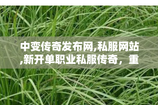 中变传奇发布网,私服网站,新开单职业私服传奇，重燃热血，探索未知职业领域
