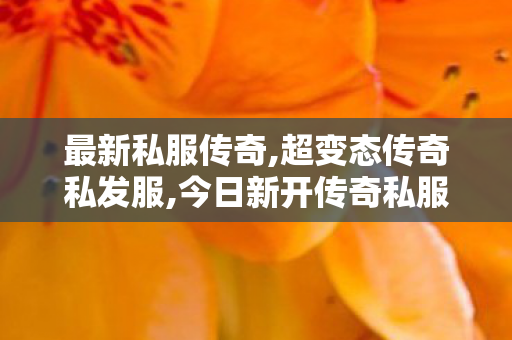 最新私服传奇,超变态传奇私发服,今日新开传奇私服揭秘，全面解析与攻略
