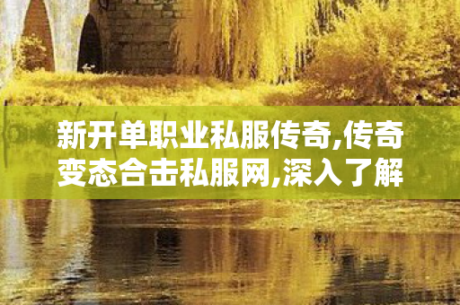 新开单职业私服传奇,传奇变态合击私服网,深入了解变态传奇私服，特点、1与应对策略