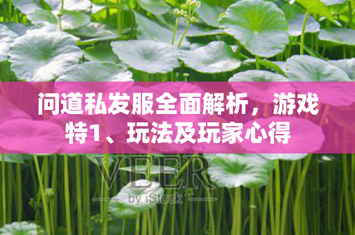 问道私发服全面解析，游戏特1、玩法及玩家心得