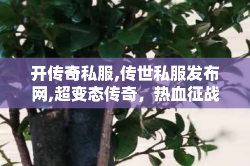 开传奇私服,传世私服发布网,超变态传奇，热血征战，英雄崛起