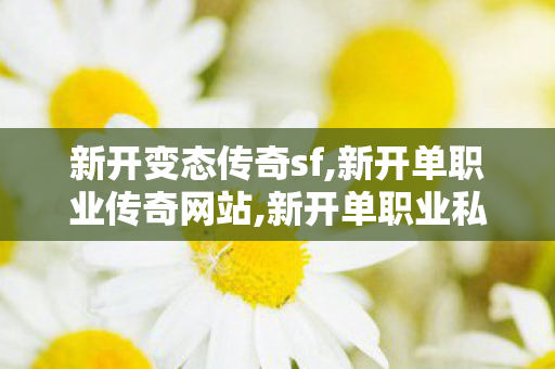 新开变态传奇sf,新开单职业传奇网站,新开单职业私服传奇，探索未知的冒险之旅