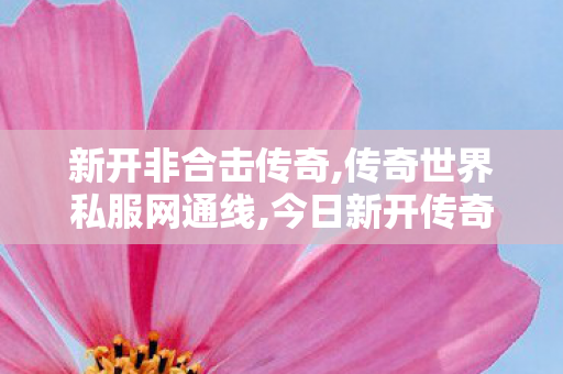 新开非合击传奇,传奇世界私服网通线,今日新开传奇私服，经典再现，热血重燃