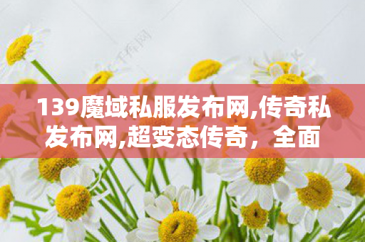 139魔域私服发布网,传奇私发布网,超变态传奇，全面解析与深度攻略