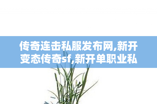 传奇连击私服发布网,新开变态传奇sf,新开单职业私服传奇——全面解析与详细介绍