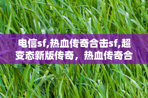 电信sf,热血传奇合击sf,超变态新版传奇，热血传奇合击sf的全面解析与攻略