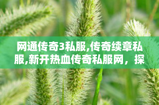 网通传奇3私服,传奇续章私服,新开热血传奇私服网，探索传奇续章私服的世界
