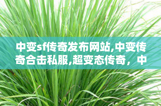 中变sf传奇发布网站,中变传奇合击私服,超变态传奇，中变传奇合击私服攻略与全面解析