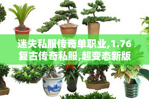 迷失私服传奇单职业,1.76复古传奇私服,超变态新版传奇，经典1.76复古传奇私服深度解析