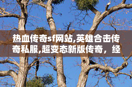 热血传奇sf网站,英雄合击传奇私服,超变态新版传奇，经典重现，热血激战无止境