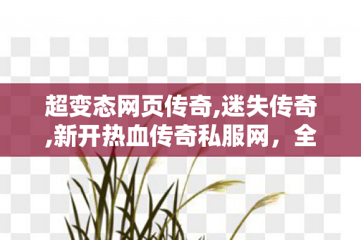 超变态网页传奇,迷失传奇,新开热血传奇私服网，全面解析与详细介绍