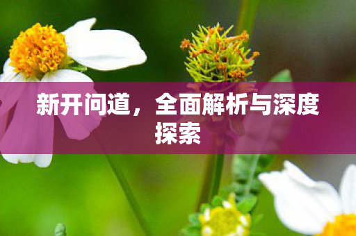 新开问道，全面解析与深度探索