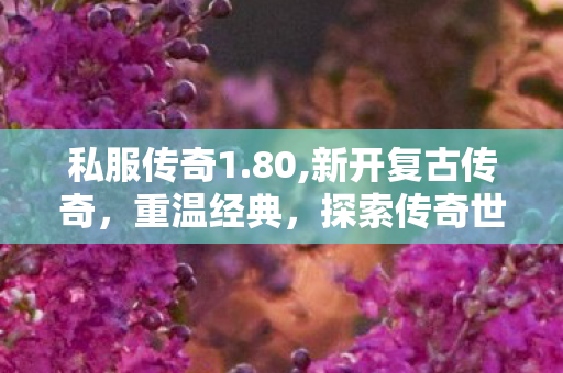 私服传奇1.80,新开复古传奇，重温经典，探索传奇世界新篇章