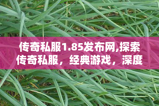 传奇私服1.85发布网,探索传奇私服，经典游戏，深度体验