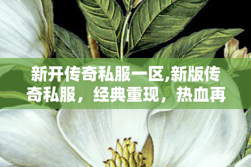 新开传奇私服一区,新版传奇私服，经典重现，热血再燃