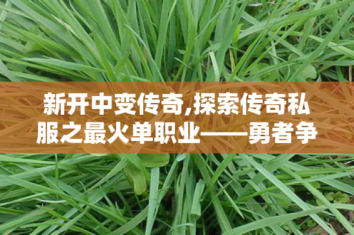 新开中变传奇,探索传奇私服之最火单职业——勇者争霸，传奇不灭