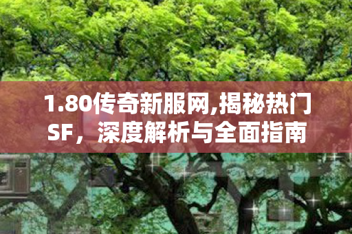 1.80传奇新服网,揭秘热门SF，深度解析与全面指南