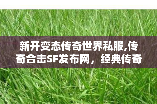 新开变态传奇世界私服,传奇合击SF发布网，经典传奇游戏体验的全新篇章