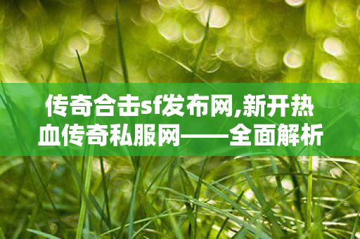 传奇合击sf发布网,新开热血传奇私服网——全面解析与详细介绍
