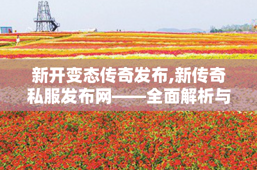 新开变态传奇发布,新传奇私服发布网——全面解析与详细指南