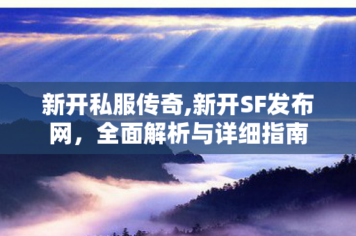 新开私服传奇,新开SF发布网，全面解析与详细指南
