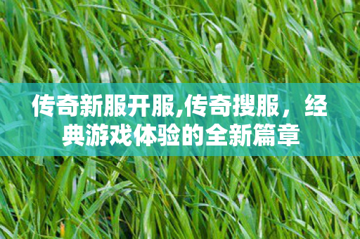 传奇新服开服,传奇搜服，经典游戏体验的全新篇章