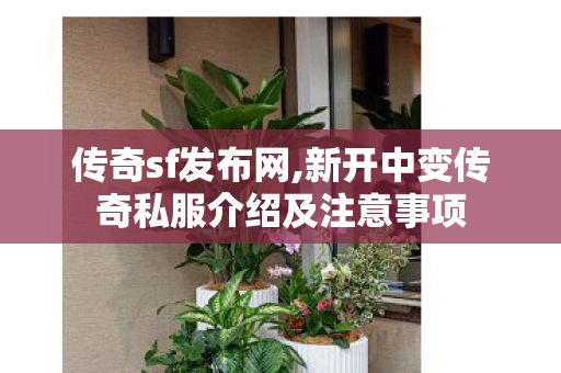 传奇sf发布网,新开中变传奇私服介绍及注意事项