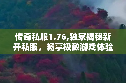 传奇私服1.76,独家揭秘新开私服，畅享极致游戏体验——探索未知的冒险之旅