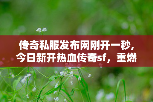 传奇私服发布网刚开一秒,今日新开热血传奇sf，重燃经典，传奇不灭