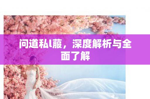 问道私l菔，深度解析与全面了解