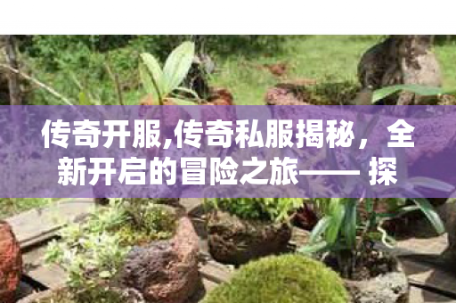 传奇开服,传奇私服揭秘，全新开启的冒险之旅—— 探索未知，重温经典