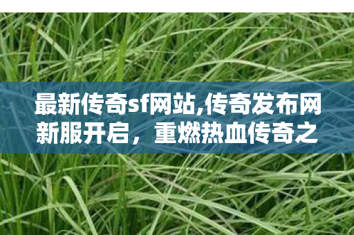 最新传奇sf网站,传奇发布网新服开启，重燃热血传奇之旅