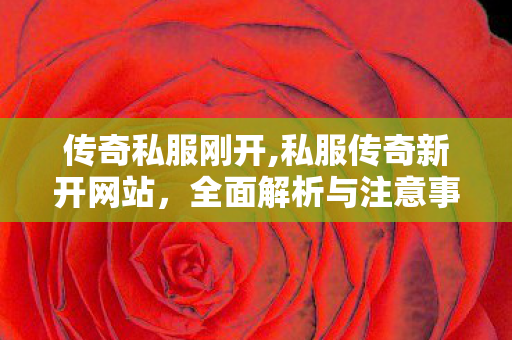 传奇私服刚开,私服传奇新开网站，全面解析与注意事项