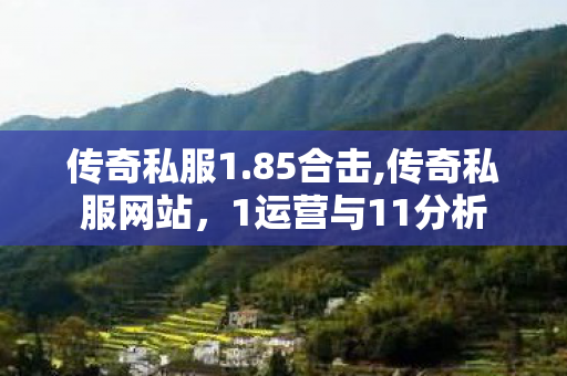 传奇私服1.85合击,传奇私服网站，1运营与11分析